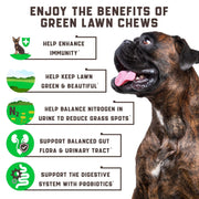 Green Lawn Chews For Dogs Cranberry ACV Digestive Enzymes Natural Dog Urine Neutralizer For Lawn Supports Healthy Bladder Urinary Tract 180 Tasty Dog Treats For Yellow Burn Grass Spots