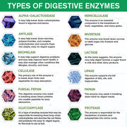 Digestive Enzyme Capsules - with Probiotics & Prebiotics - Promote Digestion, Intestinal Health, Relieve Flatulence