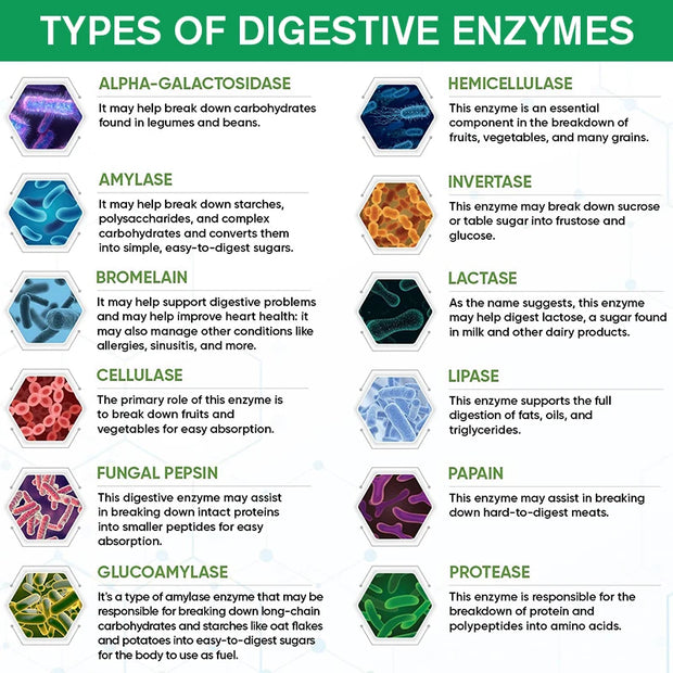 Digestive Enzyme Capsules - with Probiotics & Prebiotics - Promote Digestion, Intestinal Health, Relieve Flatulence