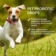 Dog Probiotics Drop Digestive Health Support Improve Gastrointestinal Vomiting Stomach Protect Pet Health Nutrition Supplement