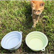 Collapsible Pet Silicone