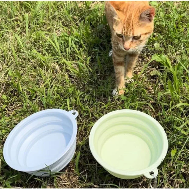Collapsible Pet Silicone