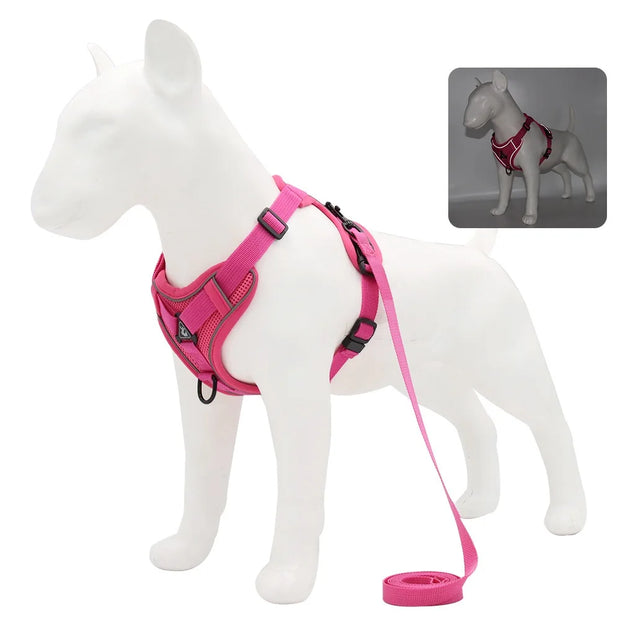 Harness and Leash Set