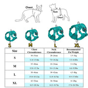 Harness and Leash Set