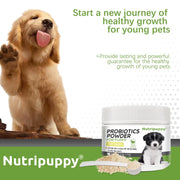 Dog Probiotic Powder Supplement - Supports Digestive Health&Relieves Diarrhea,Boosts Immune System for Puppy Adult Senior Dogs