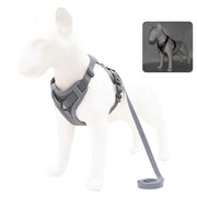 Harness and Leash Set