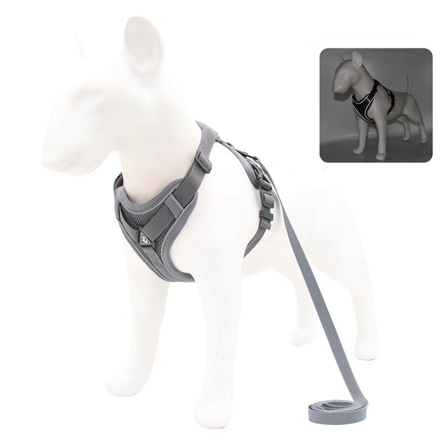 Harness and Leash Set