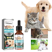 Dog Probiotics Drop Digestive Health Support Improve Gastrointestinal Vomiting Stomach Protect Pet Health Nutrition Supplement