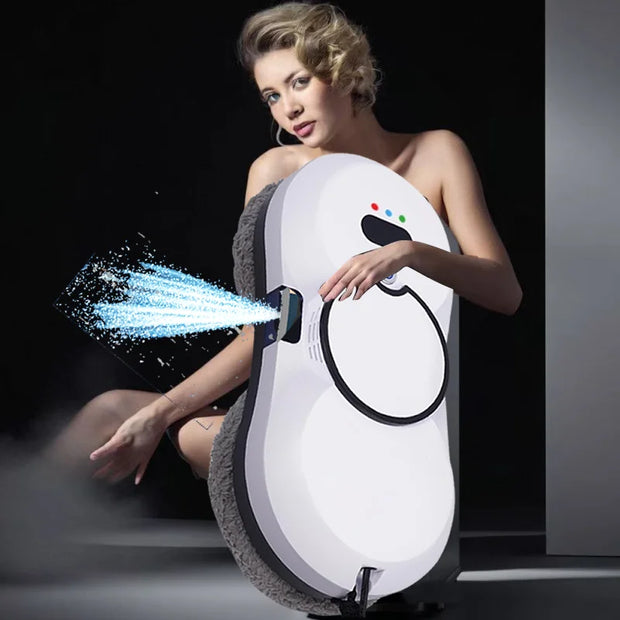 robot window cleaner