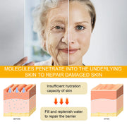 Ginseng Polypeptide Anti-aging Essential Tighten Loose Skin Reduce Fine Lines Moisturize Facial Brighten Anti-wrinkle Skin Care