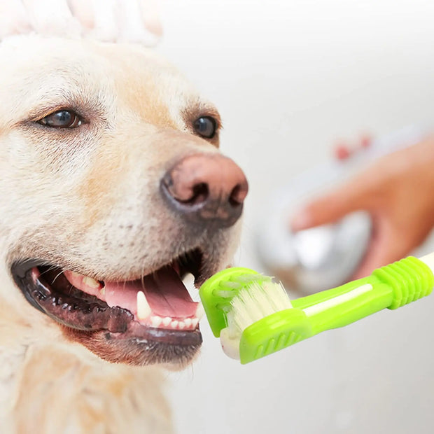 3-Sided Pet Toothbrush