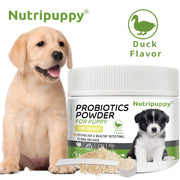 Dog Probiotic Powder Supplement - Supports Digestive Health&Relieves Diarrhea,Boosts Immune System for Puppy Adult Senior Dogs