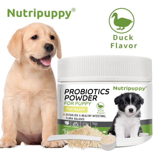 Dog Probiotic Powder Supplement - Supports Digestive Health&Relieves Diarrhea,Boosts Immune System for Puppy Adult Senior Dogs