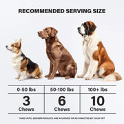 Calming Chews For Dogs Dog Anxiety Relief Promote Relaxation Dog Calming Chews With Melatonin For Dogs Chamomile Magnesium Citrate 90 Soft Chews Chicken Flavor