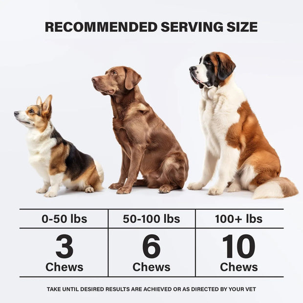 Calming Chews For Dogs Dog Anxiety Relief Promote Relaxation Dog Calming Chews With Melatonin For Dogs Chamomile Magnesium Citrate 90 Soft Chews Chicken Flavor